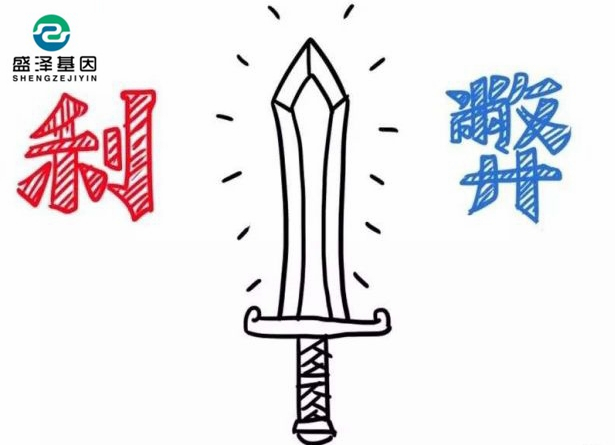 亲子鉴定该不该背婚姻失败的锅？2
