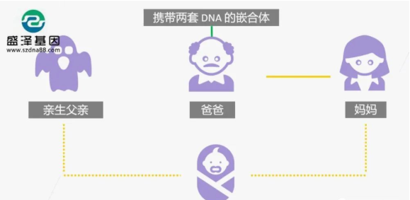 医学怪病奇美拉现象：亲自生未必是亲生？你身体还住着另一个人？