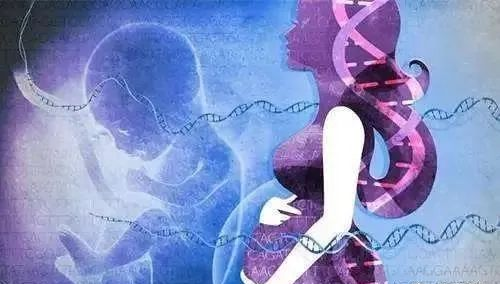 无创产前基因检测（NIPT）到底有什么作用？