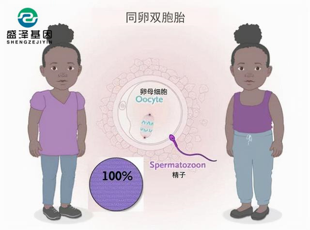 广东男子做亲子鉴定，竟发现自家双胞胎有一个不是自己的？！