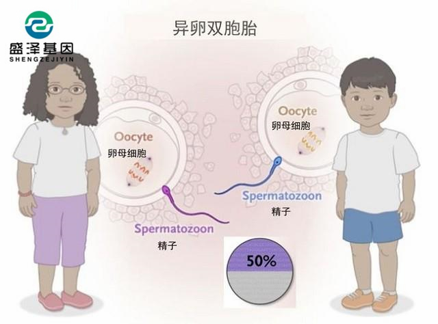 广东男子做亲子鉴定，竟发现自家双胞胎有一个不是自己的？！