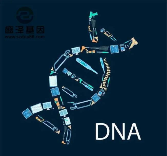 医学怪病奇美拉现象：亲自生未必是亲生？你身体还住着另一个人？