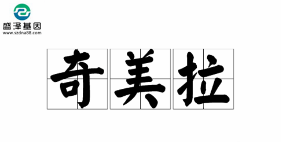 医学怪病奇美拉现象：亲自生未必是亲生？你身体还住着另一个人？