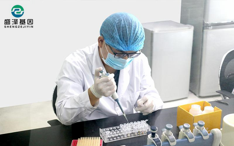 简单的亲子鉴定方法（含血型遗传检测一共3种）