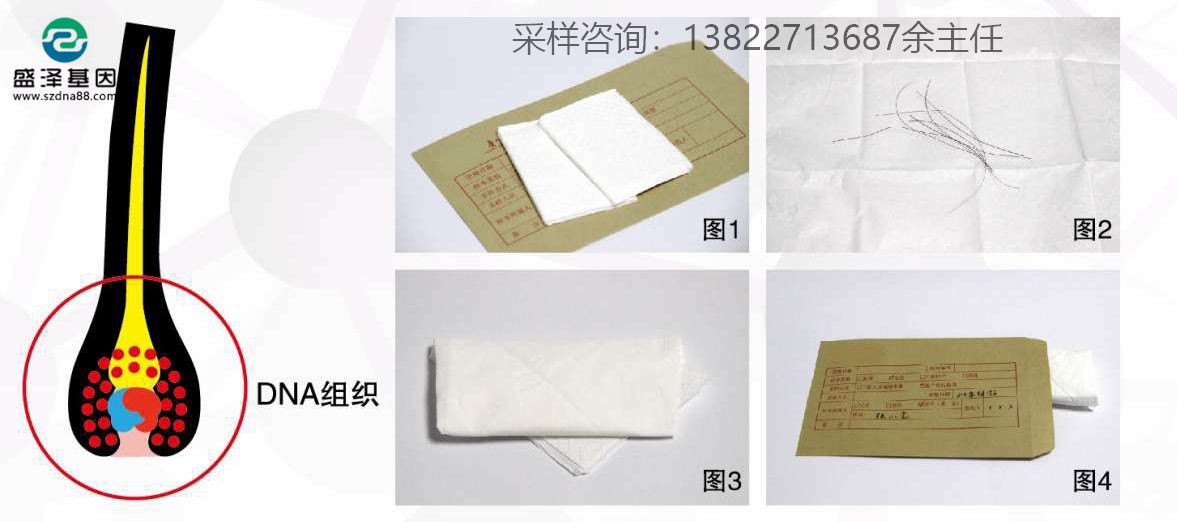 个人亲子鉴定简单采样方法指导（血痕、口腔拭子、毛发）