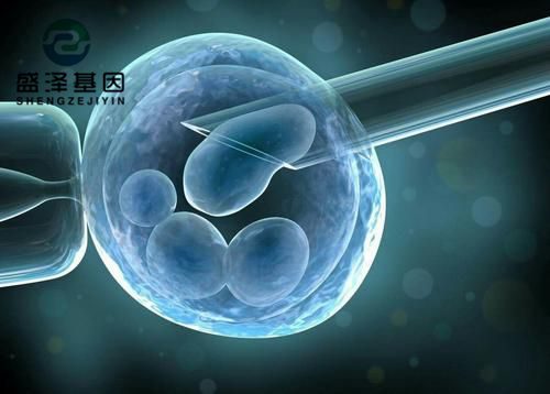 亲子鉴定师讲述：老公明明是无精症，老婆却试管婴儿怀孕成功？