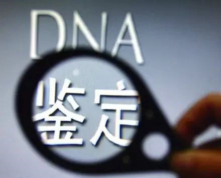 司法亲子鉴定报告怎么做？需要采集什么样本？