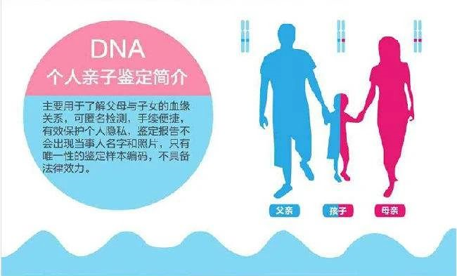 个人亲子鉴定检验报告能做司法证据吗？