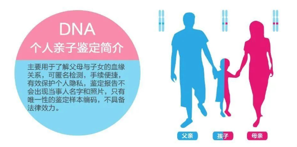 中山东区司法亲子鉴定中心给客户做亲子鉴定准确率如何？
