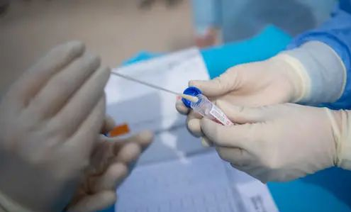 自己做隐私亲子审定需要采集什么样本？