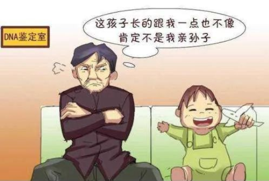 透过现象看本质，亲子鉴定者折射出的是忠贞与道德的信任危机！