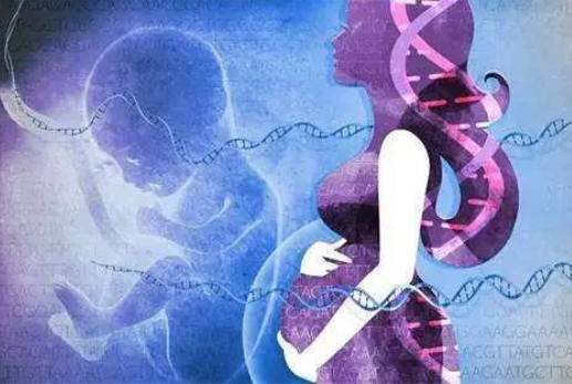 孕妇怀孕几个月可以做dna亲子鉴定？对胎儿有伤害吗？