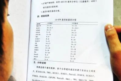 对隐私亲子鉴定承担法律责任，不让亲子鉴定成“伤害婚姻鉴定”