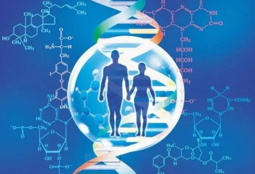 男方要求做亲子鉴定的情况增多，是西方文化与传统道德观点的碰撞