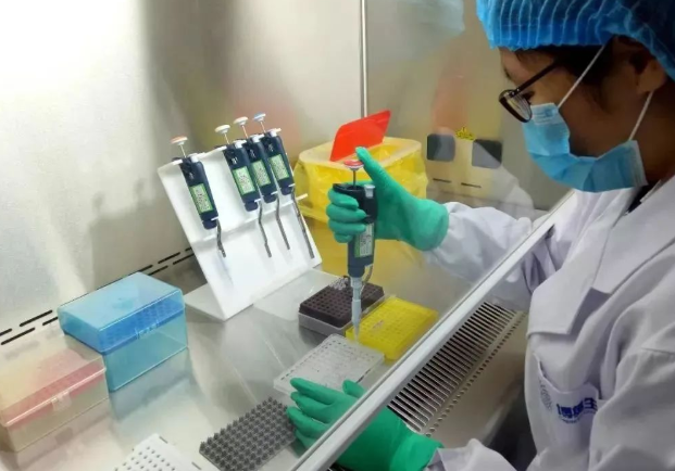 剪下来的头发没有毛囊可以做亲子鉴定样本吗？