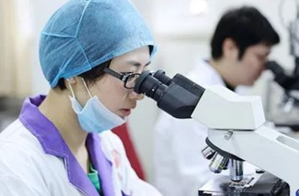 个人和司法亲子鉴定哪个好一点？打官司用途