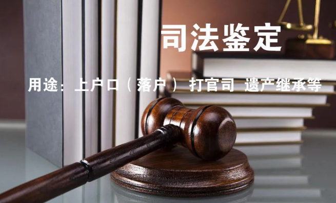 隐私亲子鉴定与司法亲子鉴定，到底怎么选？