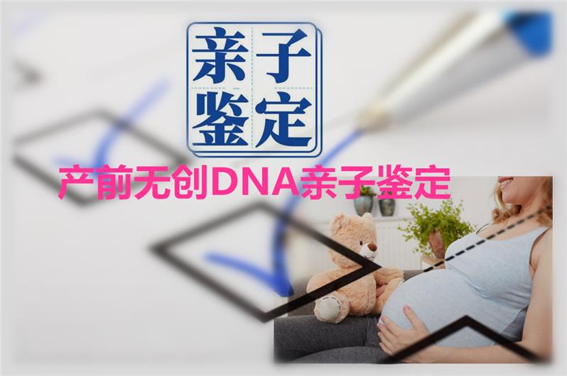 中山正规亲子鉴定中心地址在哪里？