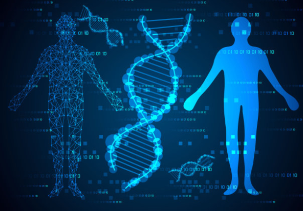 个人委托做中山胎儿亲子鉴定所需样本介绍