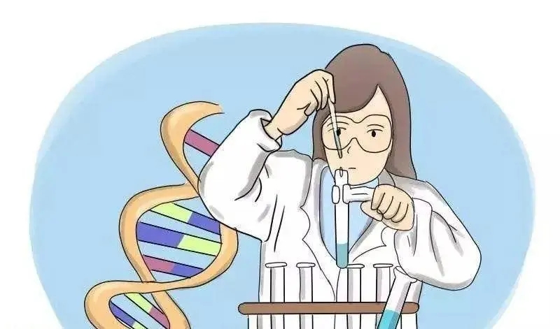 中山个人DNA亲子鉴定办理如何确保隐私