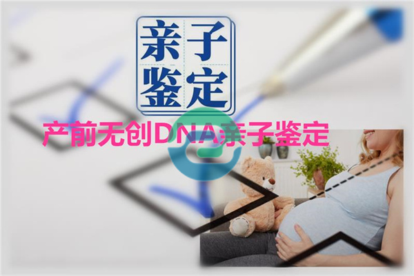 2025年如何进行中山亲子鉴定介绍！