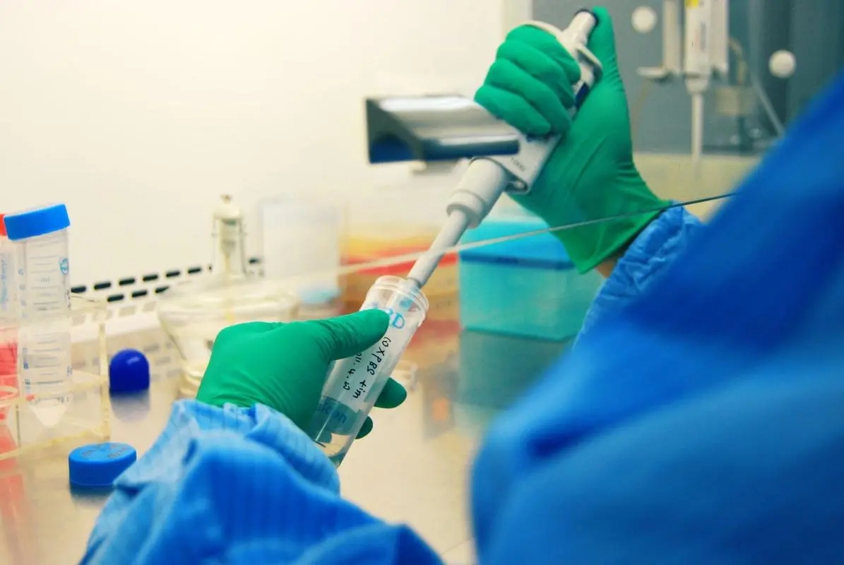 中山哪里做亲子鉴定？中山亲子鉴定要怎么办理？