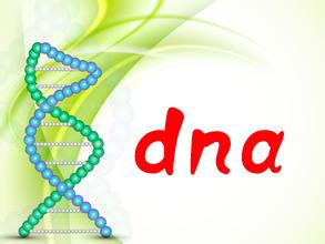 中山在哪里做户口亲子鉴定？户口亲子鉴定前需要做的准备