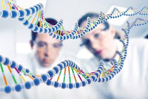 中山哪里有做DNA亲子鉴定？什么机构可以做亲子鉴定？