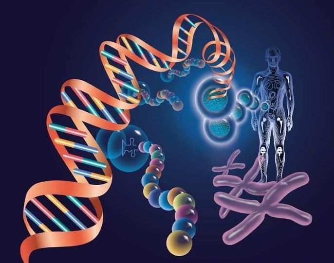 中山匿名亲子鉴定的受理流程介绍