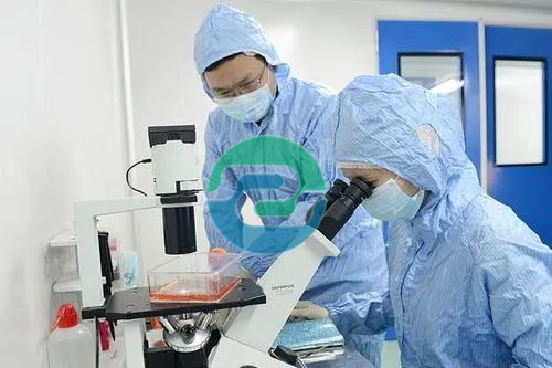 2025年的中山亲子鉴定预约过程比较方便