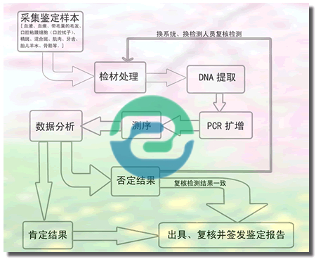 非婚生子女需要做中山亲子鉴定吗？