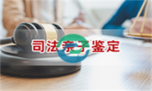 中山亲子鉴定机构在哪？中山盛泽亲子鉴定中心