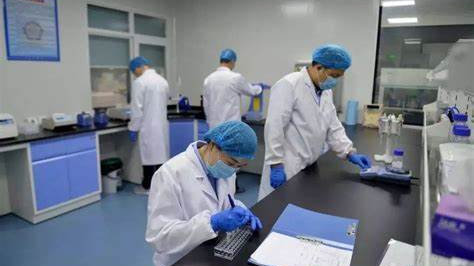 广州番禺亲子鉴定中心地址